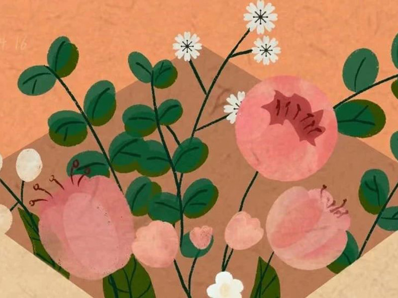 Pismo Jufengovoj obitelji