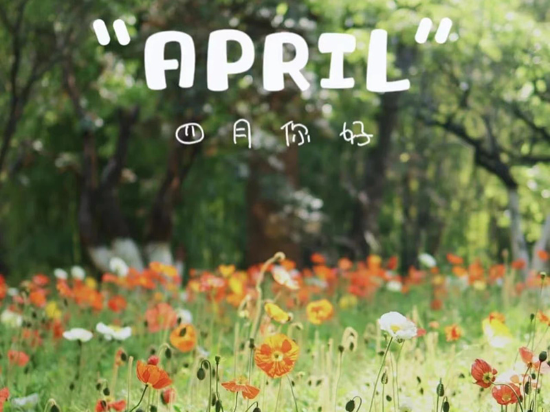 Rođendanske čestitke丨Sretan rođendan onima koji su rođeni u travnju